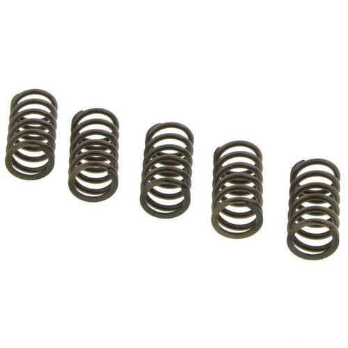 Molle frizione ebc rinf 10 - ebc, +10